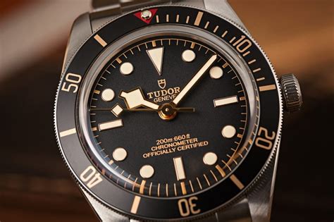 tudor homage watch|cheapest tudor black bay.